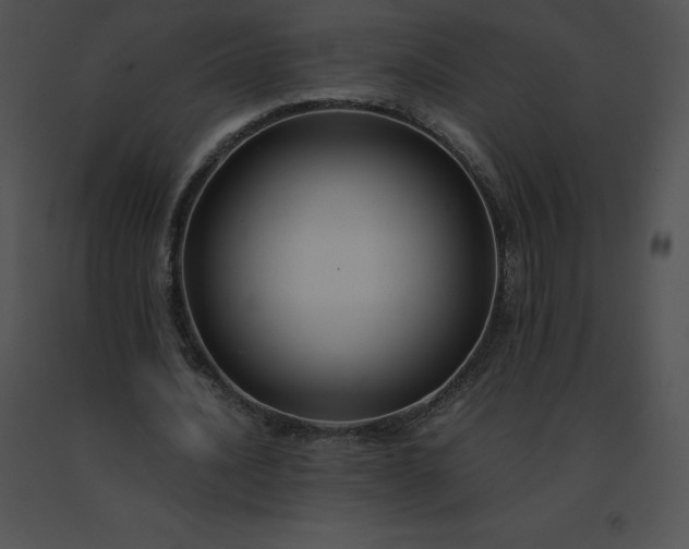 X0000091540628200708311333