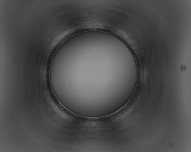 X0000091540629200708311333