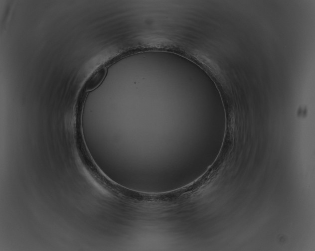X0000091540630200708311333