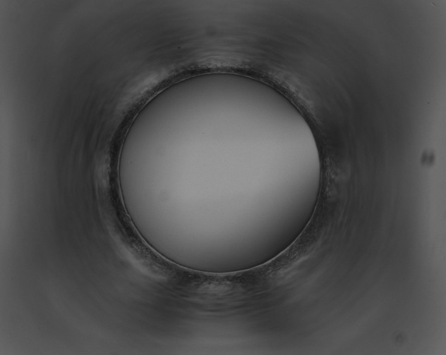X0000091540631200708311333