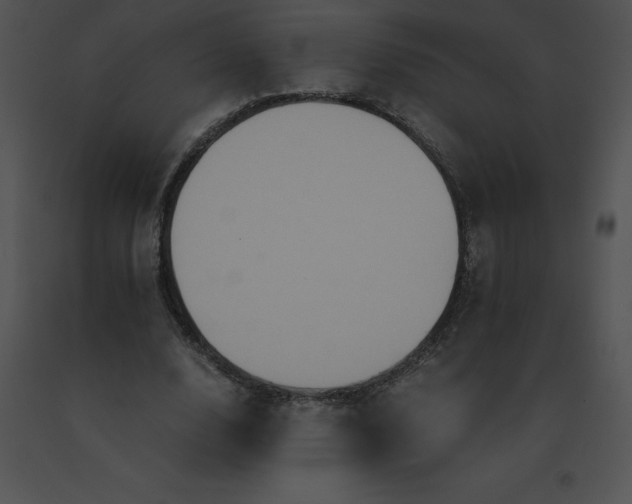 X0000091540632200708311333