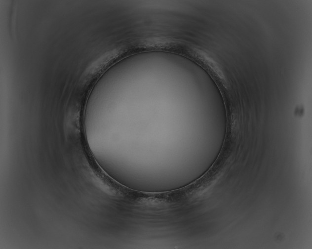 X0000091540633200708311333