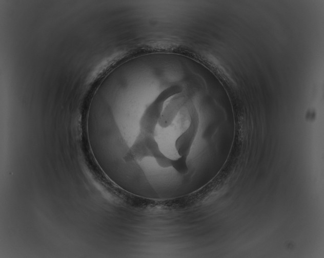 X0000091540634200708311333