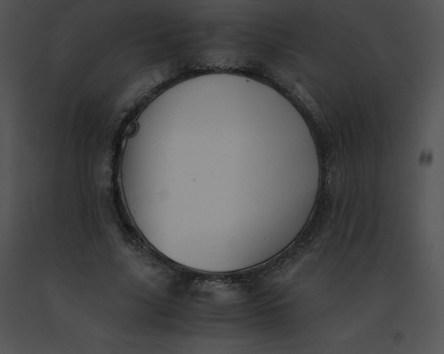 X0000091540635200708311333