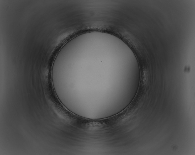 X0000091540636200708311333