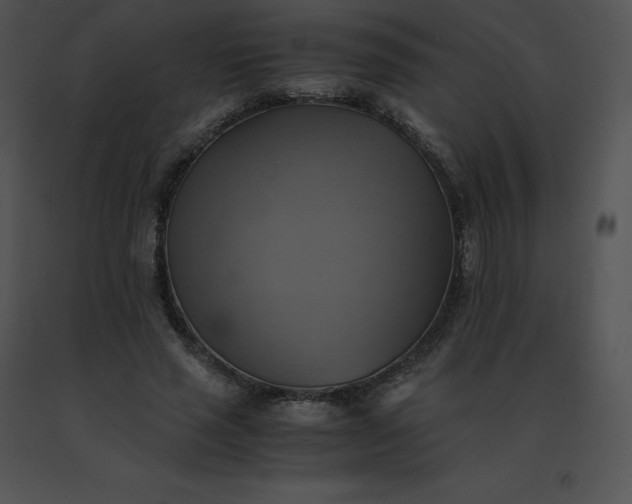 X0000091540637200708311333