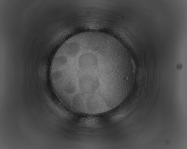 X0000091540639200708311333
