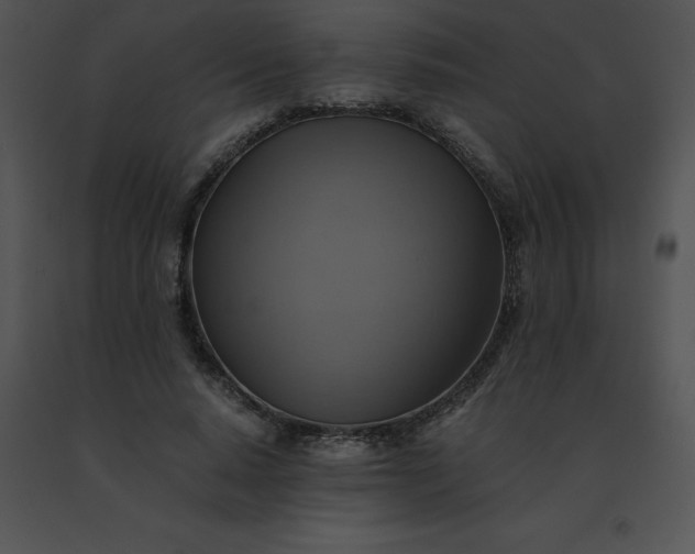 X0000091540640200708311333