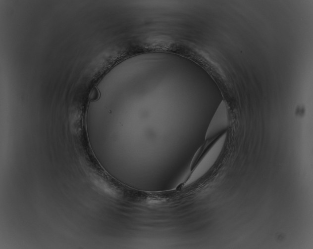 X0000091540641200708311333