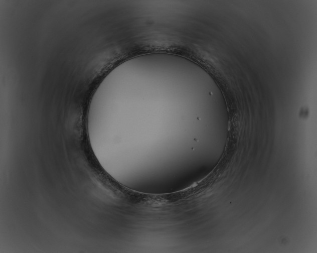 X0000091540642200708311333