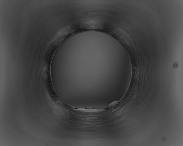 X0000091540643200708311333