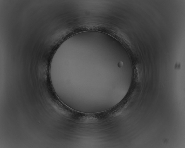 X0000091540644200708311333