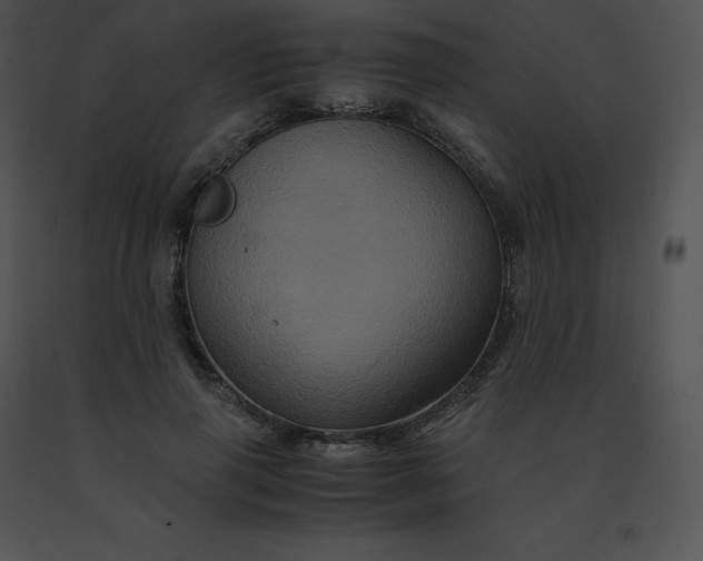 X0000091540645200708311333