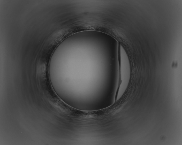 X0000091540646200708311333