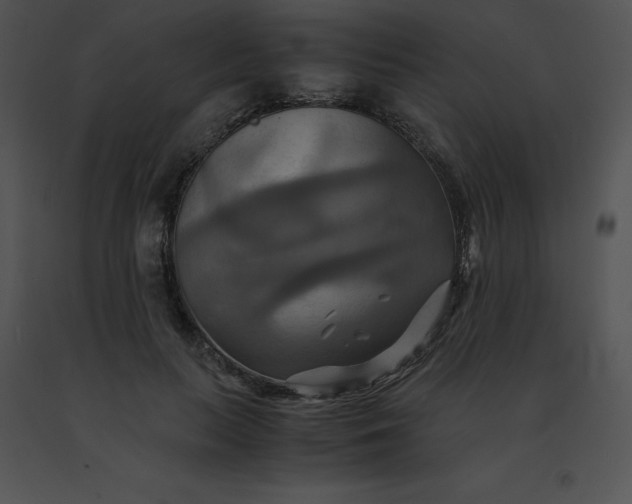 X0000091540647200708311333