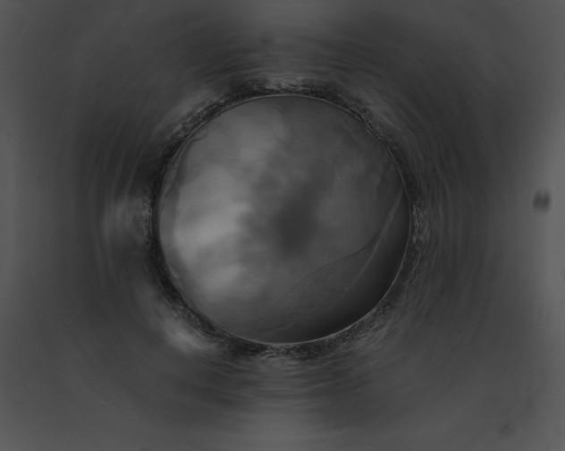 X0000091540648200708311333