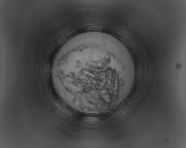 X0000091540649200708311333