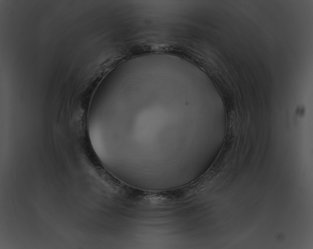 X0000091540650200708311333