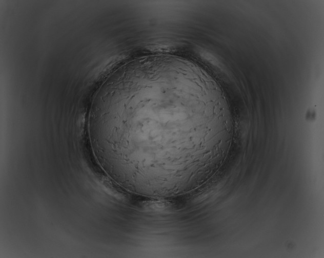 X0000091540652200708311333
