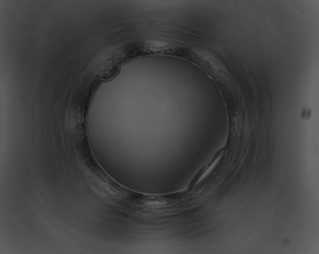X0000091540653200708311333