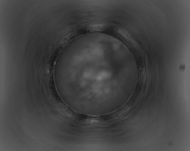 X0000091540655200708311333