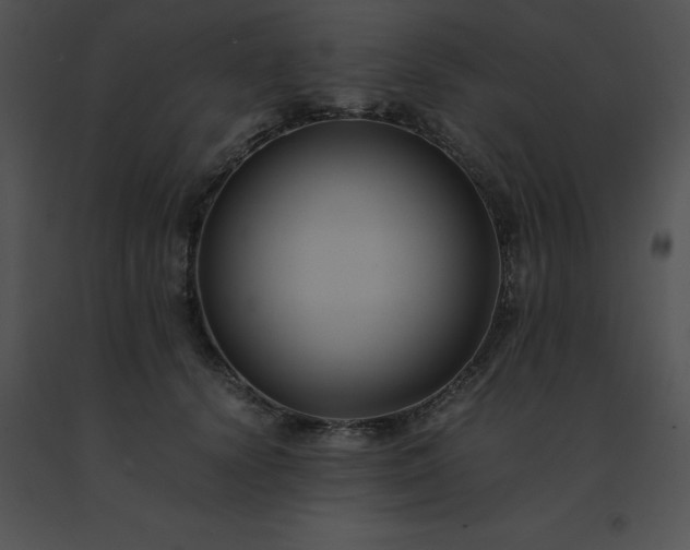 X0000091540656200708311333