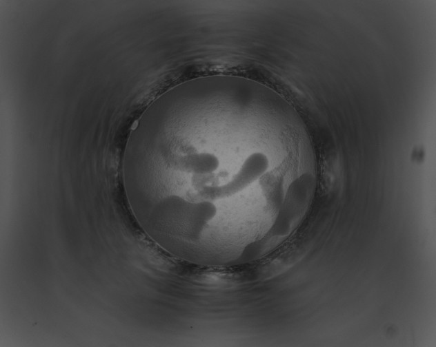 X0000091540657200708311333
