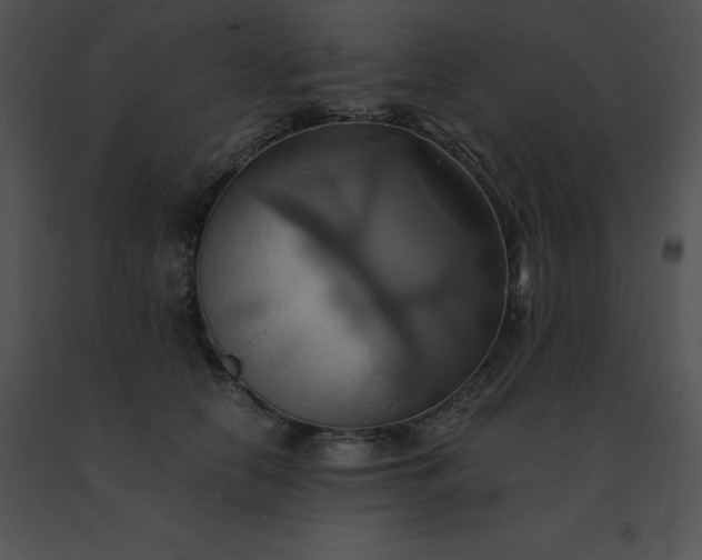 X0000091540658200708311333