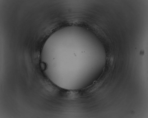 X0000091540660200708311333