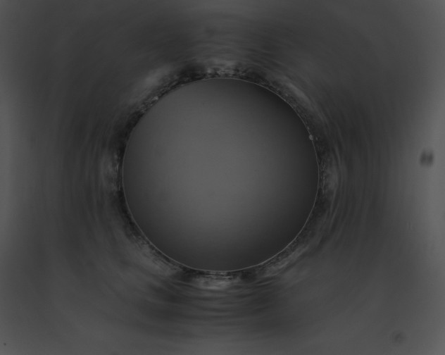 X0000091540661200708311333