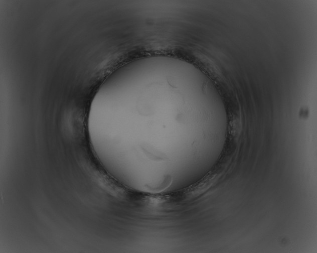 X0000091540662200708311333