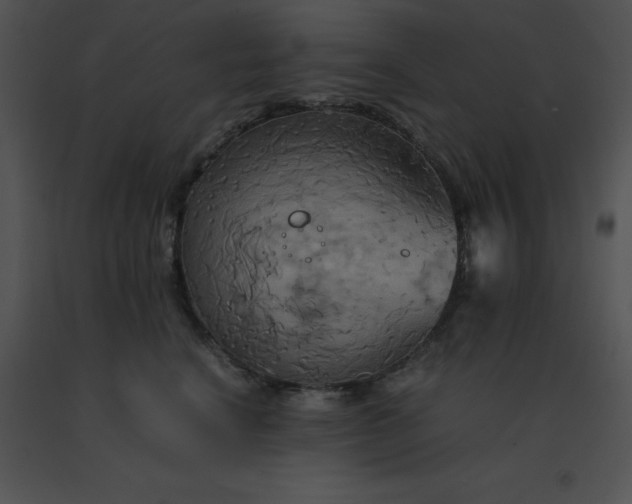 X0000091540664200708311333