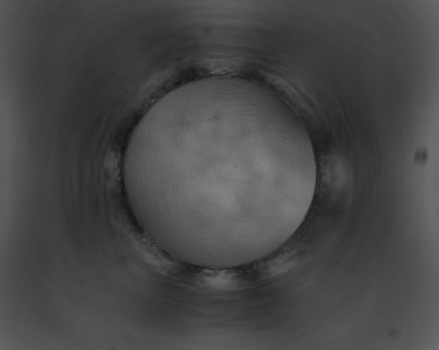 X0000091540667200708311333