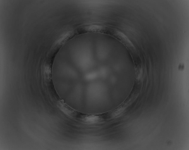 X0000091540669200708311333