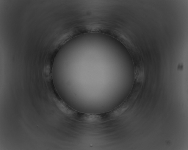 X0000091540670200708311333