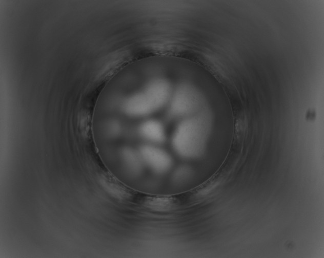 X0000091540671200708311333