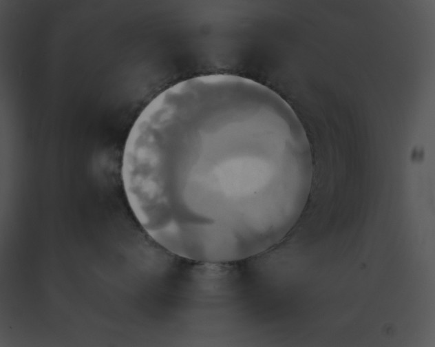 X0000091540672200708311333