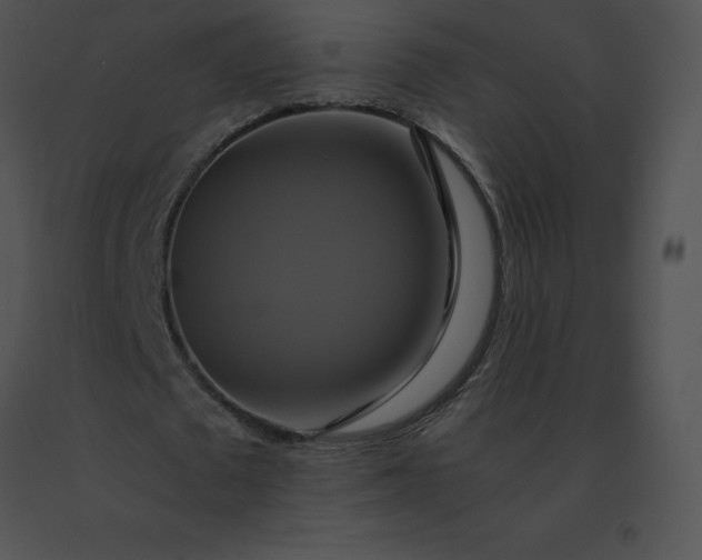X0000091540673200708311333