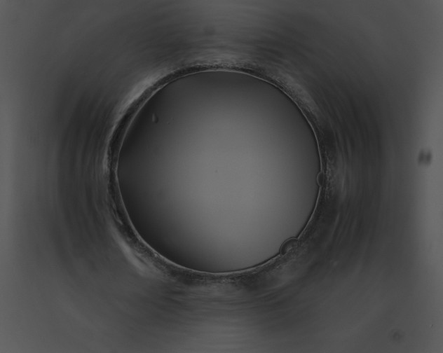 X0000091540674200708311333