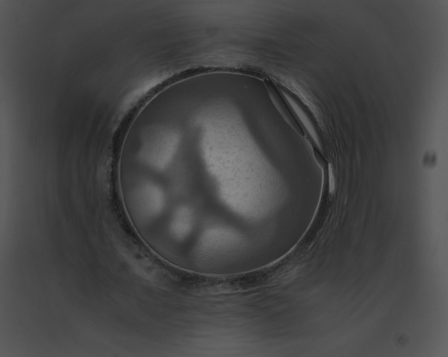 X0000091540675200708311333