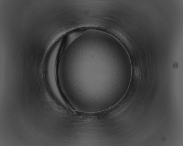 X0000091540676200708311333