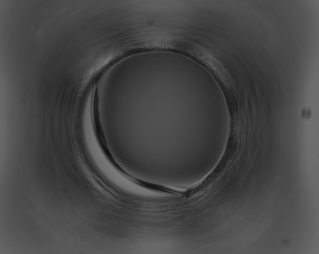 X0000091540677200708311333