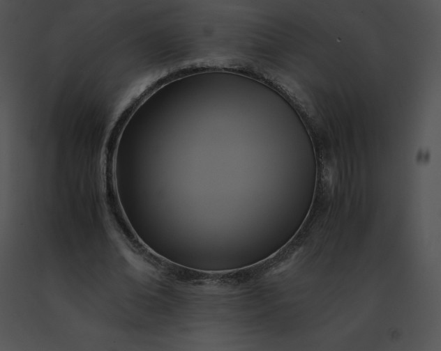 X0000091540678200708311332