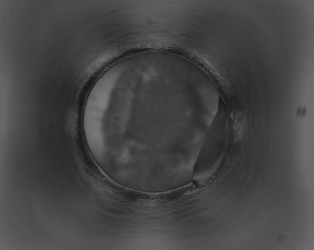 X0000091540679200708311332