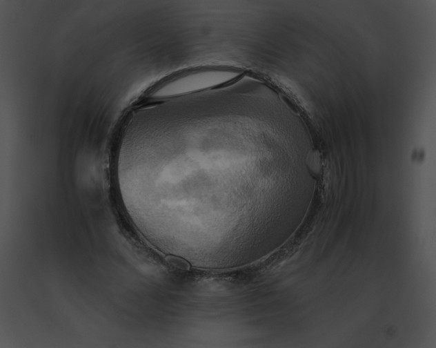 X0000091540680200708311332