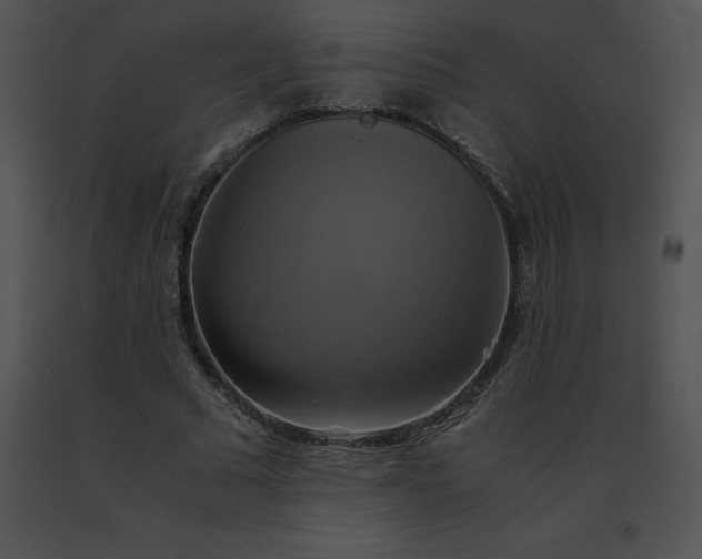 X0000091540681200708311332