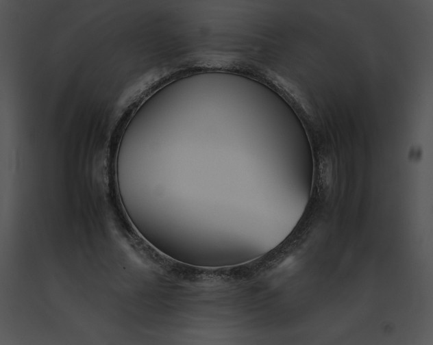 X0000091540682200708311332