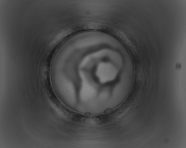 X0000091540683200708311332