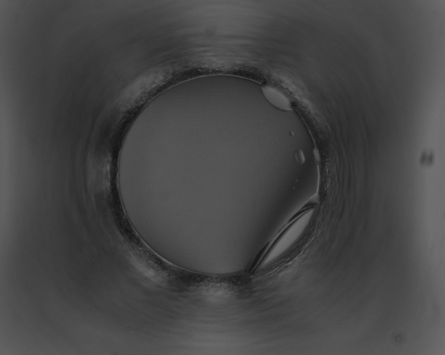 X0000091540685200708311332