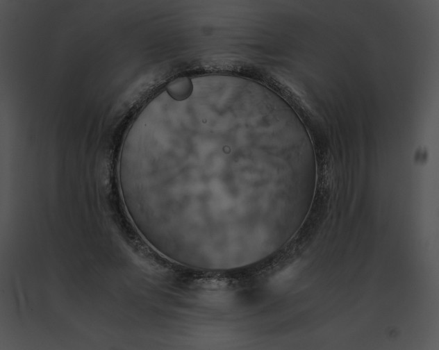 X0000091540687200708311332